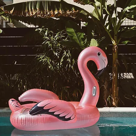 Bernie With A Pool * Zara