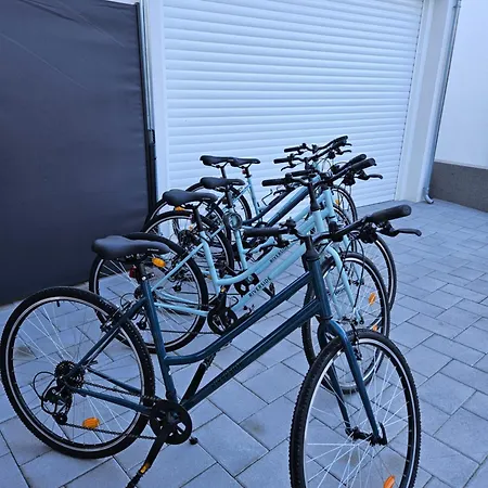 Bernie With A Pool *